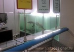 Аквариумы для ресторанов и магазинов